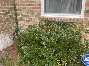 Bush Trimming by Stephanie Capps for Lisa S. in Virginia Beach, VA