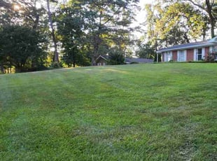 Amber C.'s Lawn Maintenance service result