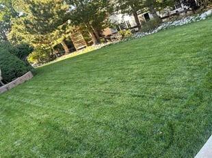 Pam F.'s Grass Cutting service result