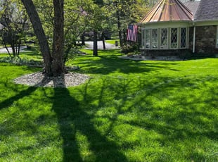 David T.'s Lawn Care service result