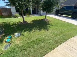 Jill D.'s Lawn Mowing service result