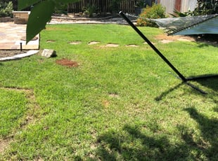 Cleanups by Humberto Rebollar for Pam P. in Kyle, TX