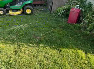 Tramaine R.'s Yard Cutting service result