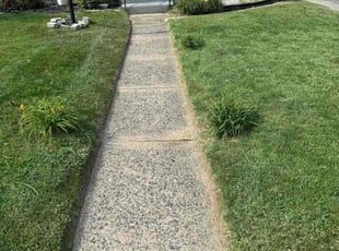 William P.'s Lawn Service service result