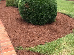 Mulching by Terrence Hawkins for Charles H. in Washington, DC