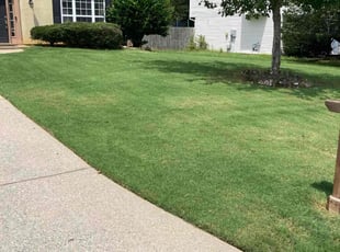Nikki M.'s Lawn Mowing Service service result