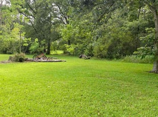 Patty H.'s Lawn Mowing service result