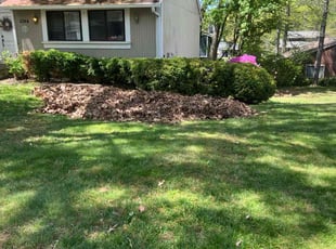 Cleanups by Alberth Ariel Aguilar-Alvarez for Kathleen M. in Fairfax, VA