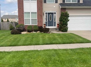 Leon S.'s Lawn Care service result
