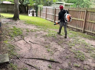 Sarah V.'s Leaf Removal service result