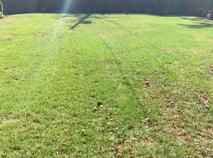 Leaf Removal by Dashawn Willis for Esther B. in Columbus, OH