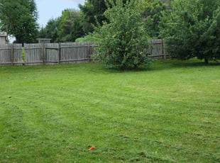 Laura B.'s Grass Cutting service result