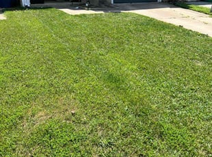 Michael C.'s Grass Cutting service result