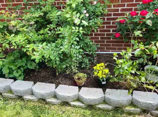 Weeding by Mark Burke for Gamila E. in Centreville, VA