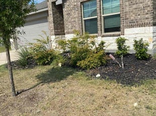 Weeding by Jose Tovar for Kelly D. in Fort Worth, TX