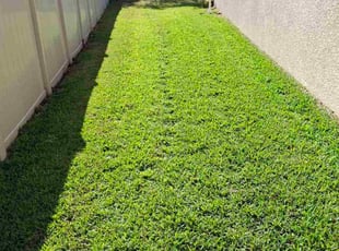 Dwane E.'s Grass Cutting service result