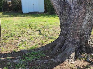 Cleanups by Gabriel Gray for Teresa G. in Indian Trail, NC
