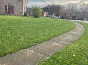 Kelly V.'s Lawn Care service result