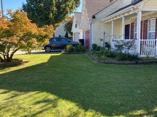 Jana A.'s Lawn Mowing Service service result