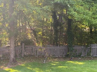 Landscaping by Conner Meadows for Celina K. in Marietta, GA