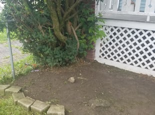 Weeding by Chad Jones for DEBORAH F. in Columbus, OH