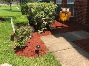 Mulching by Hilario BertÃn Garcia for Todd T. in Pearland, TX