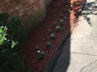 Landscaping by Joshua Arellano for Leeann L. in Houston, TX