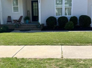 Richard R.'s Lawn Service service result