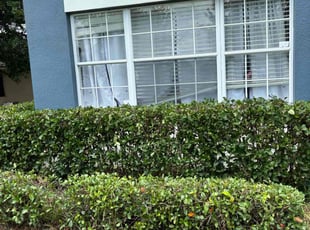 Bush Trimming by Jermaine Cooper for Ryan R. in Apopka, FL