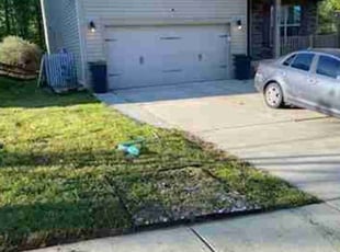 Karen H.'s Lawn Care service result