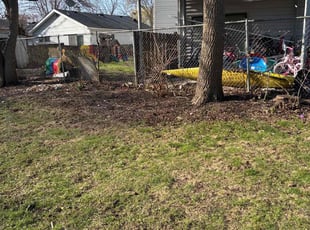Cleanups by Ricardo Flores for Glen B. in Grayslake, IL