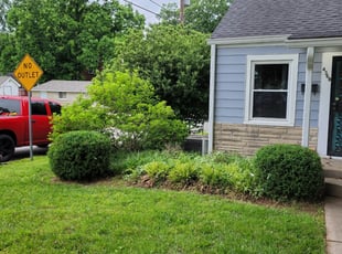 Bush Trimming by Hartford Kaufman Jr. for Traci C. in Louisville, KY