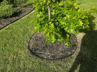 Brian H.'s Flower Bed Weeding service result