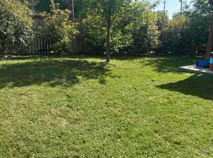 April A.'s Lawn Care service result