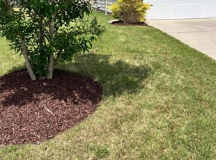 Mulching by Caitlin Hough for Adam M. in Durham, NC