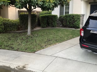 Leaf Removal by Jeremy Herb for Sarah I. in Roseville, CA