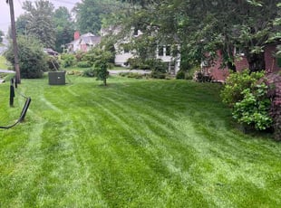 Marin M.'s Lawn Service service result