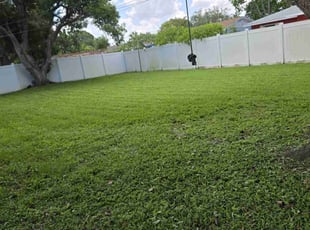 Maria S.'s Lawn Mowing service result