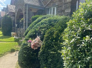 Bush Trimming by Askia Johnson for Lisa C. in Yeadon, PA