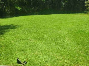 Lawrence G.'s Lawn Mowing Service service result