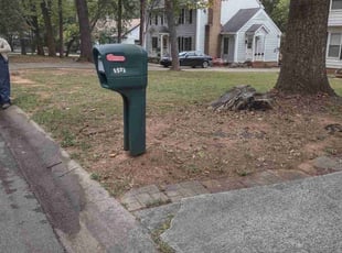Leaf Removal by Michael Cherry for Iesha C. in Charlotte, NC