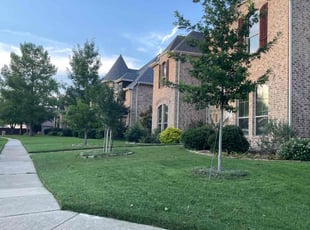 Carol D.'s Lawn Service service result
