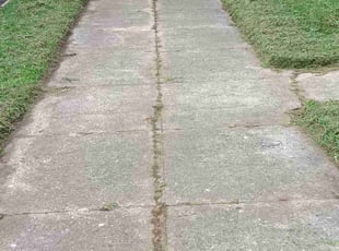 Landscaping by Dontai Jackson for Kaylin K. in Jeffersonville, IN