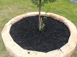Mulching by JackieAnn Talley for Rob S. in San Antonio, TX