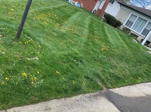 Cleanups by Kyle Yacko for Steven H. in southfield, MI