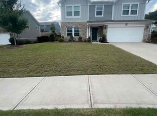 Tornik M.'s Lawn Service service result