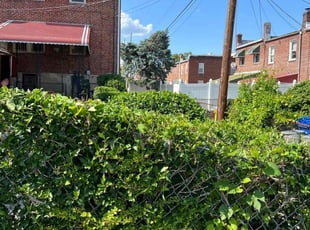 Bush Trimming by Dimas Lopez for Carma S. in Baltimore, MD