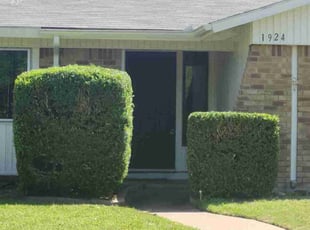 Bush Trimming by Manuel Solis Soto for Leo L. in Richardson, TX
