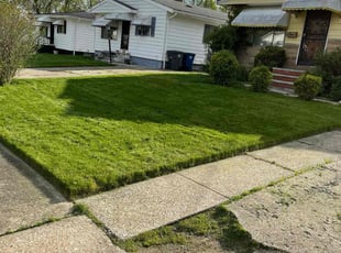 Ronald J.'s Grass Cutting service result