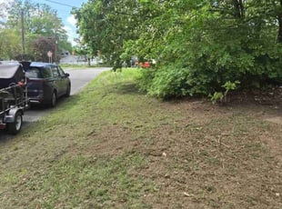 Laura K.'s Leaf Removal service result